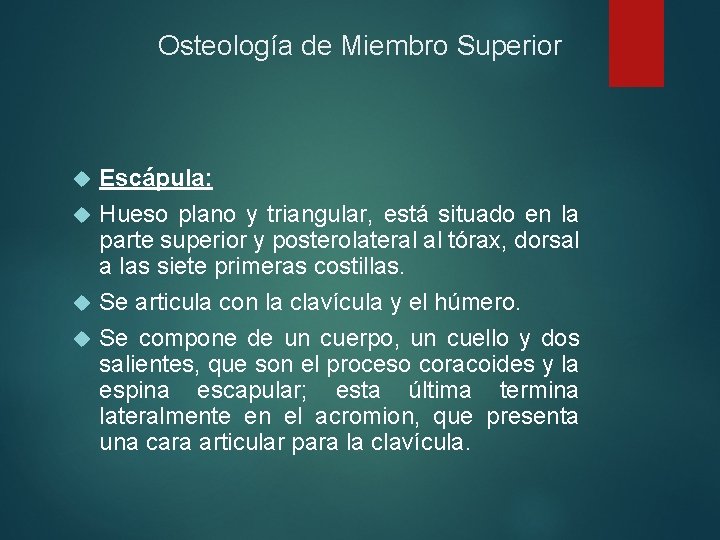 Osteología de Miembro Superior Escápula: Hueso plano y triangular, está situado en la parte