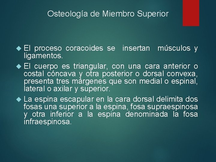 Osteología de Miembro Superior El proceso coracoides se insertan músculos y ligamentos. El cuerpo