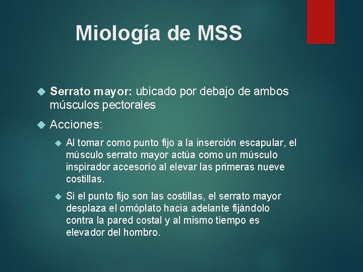 Miología de MSS Serrato mayor: ubicado por debajo de ambos músculos pectorales Acciones: Al