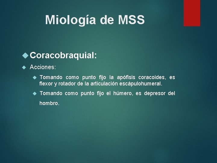 Miología de MSS Coracobraquial: Acciones: Tomando como punto fijo la apófisis coracoides, es flexor