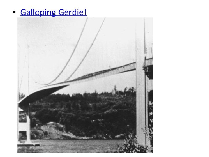  • Galloping Gerdie! 