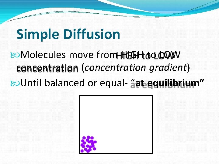Simple Diffusion Molecules move from HIGH to LOW concentration (concentration gradient) Until balanced or