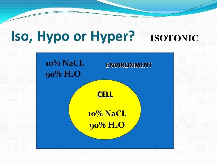 Iso, Hypo or Hyper? 10% Na. CL 90% H 2 O ISOTONIC ENVIRONMENT CELL