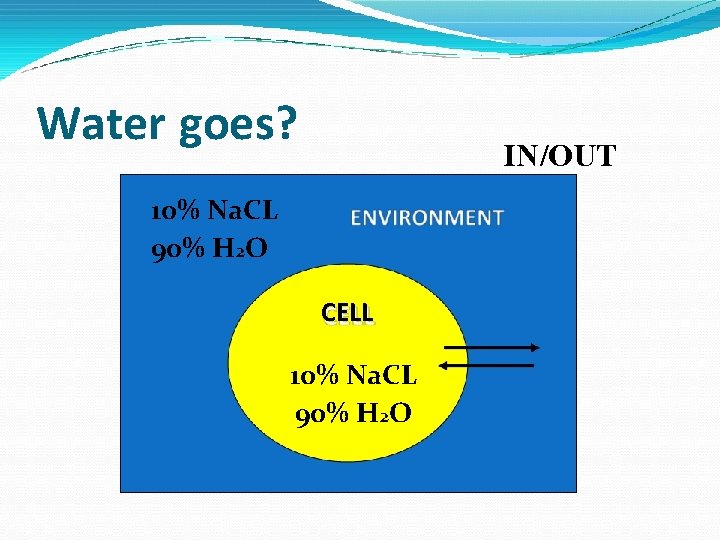 Water goes? IN/OUT 10% Na. CL 90% H 2 O CELL 10% Na. CL