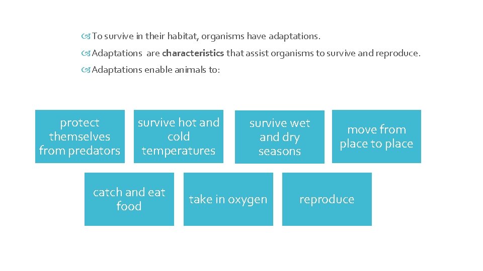  To survive in their habitat, organisms have adaptations. Adaptations are characteristics that assist