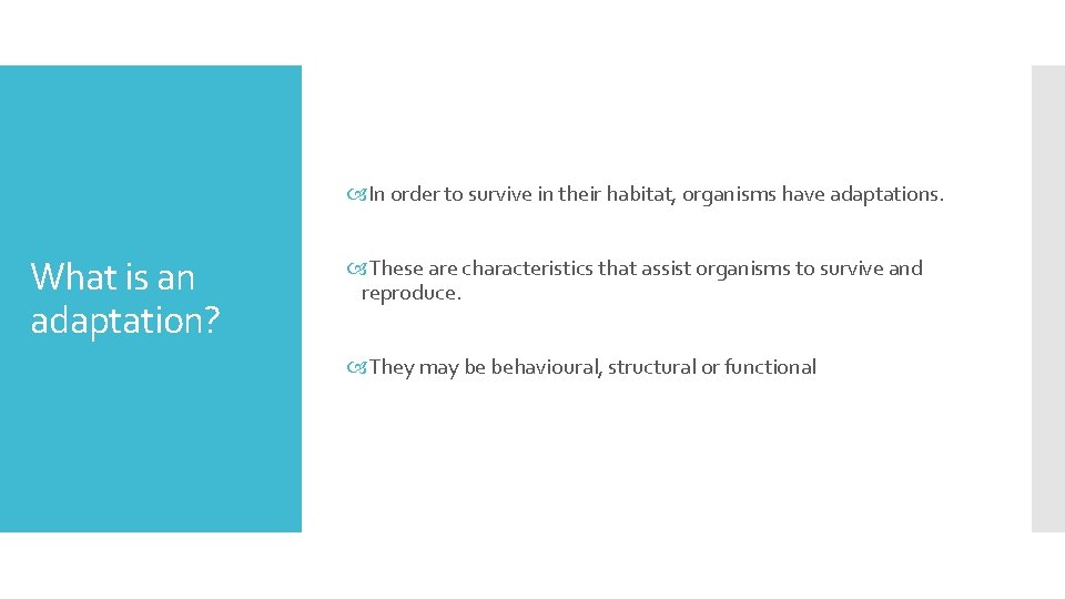  In order to survive in their habitat, organisms have adaptations. What is an