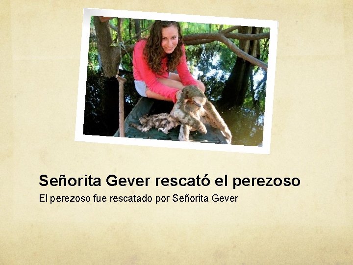 Señorita Gever rescató el perezoso El perezoso fue rescatado por Señorita Gever 