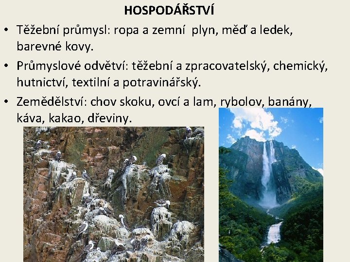 HOSPODÁŘSTVÍ • Těžební průmysl: ropa a zemní plyn, měď a ledek, barevné kovy. •