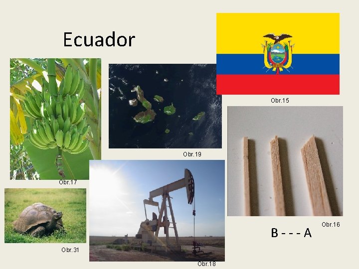 Ecuador Obr. 15 Obr. 19 Obr. 17 B---A Obr. 31 Obr. 18 Obr. 16