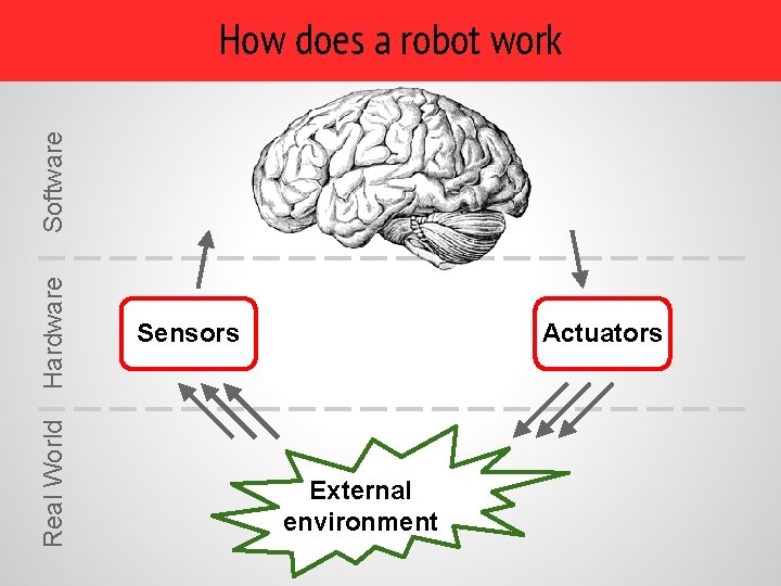 Real World Hardware Software How does a robot work Cognition Sensors Actuators External environment Real World Hardware Software How does a robot work Cognition Sensors Actuators External environment