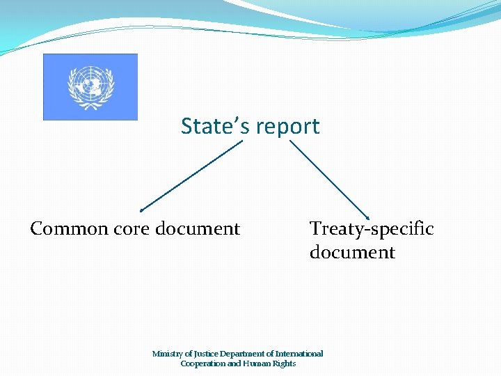State’s report Common core document Treaty-specific document Ministry of Justice Department of International Cooperation