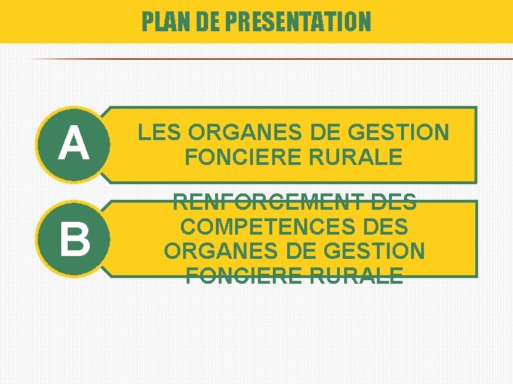 PLAN DE PRESENTATION A LES ORGANES DE GESTION FONCIERE RURALE B RENFORCEMENT DES COMPETENCES