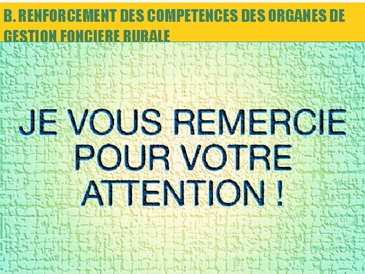 B. RENFORCEMENT DES COMPETENCES DES ORGANES DE GESTION FONCIERE RURALE 