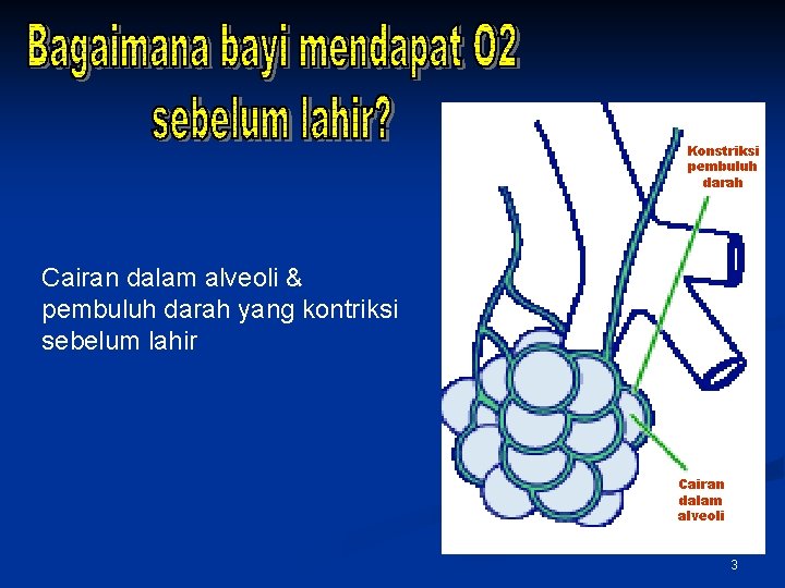 Konstriksi pembuluh darah Cairan dalam alveoli & pembuluh darah yang kontriksi sebelum lahir Cairan