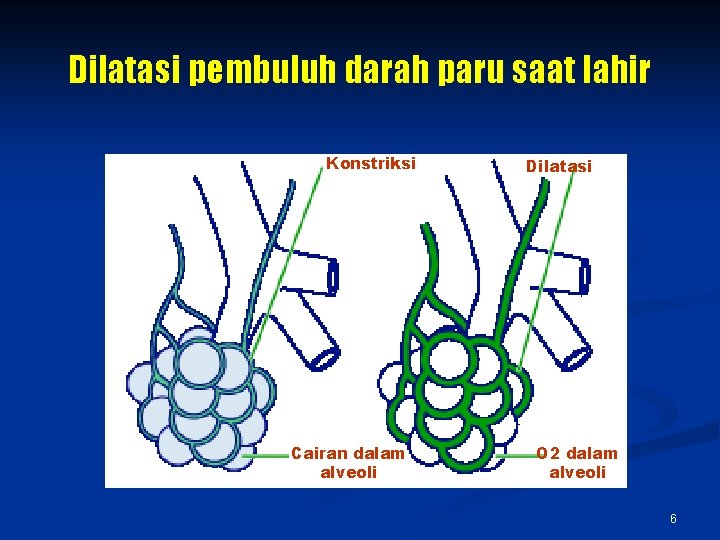 Dilatasi pembuluh darah paru saat lahir Konstriksi Cairan dalam alveoli Dilatasi O 2 dalam