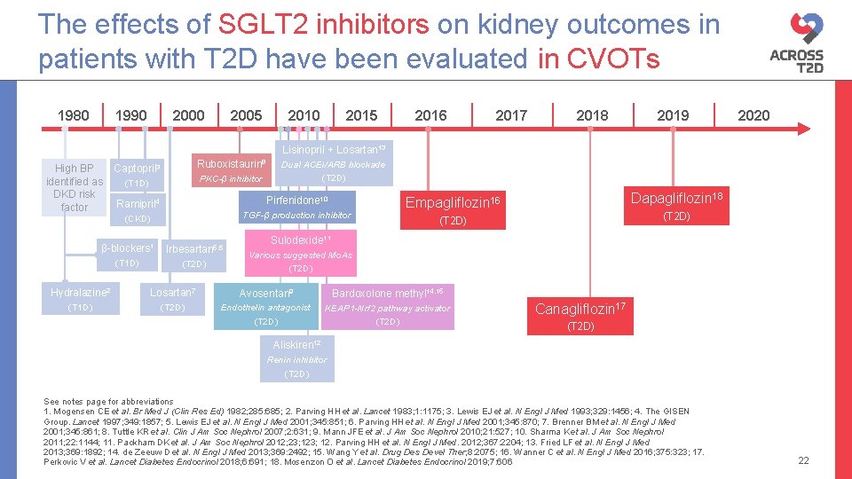 The effects of SGLT 2 inhibitors on kidney outcomes in patients with T 2