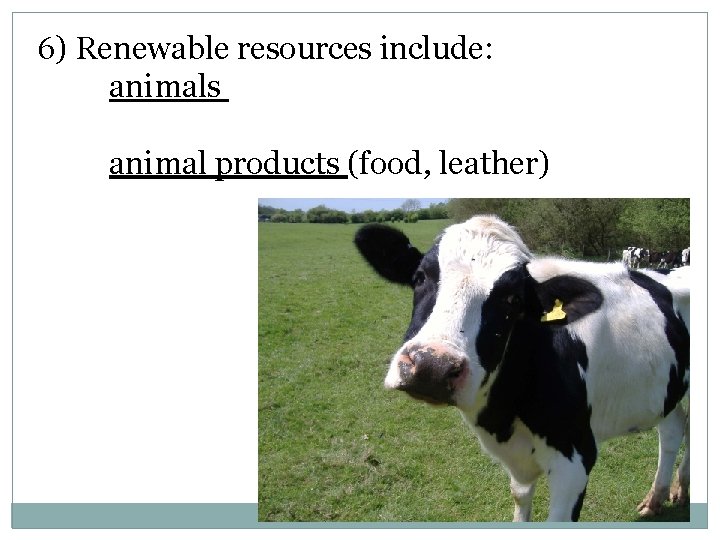 6) Renewable resources include: animals animal products (food, leather) 