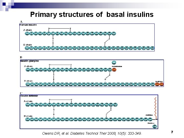 Primary structures of basal insulins Owens DR, et al. Diabetes Technol Ther 2008; 10(5):