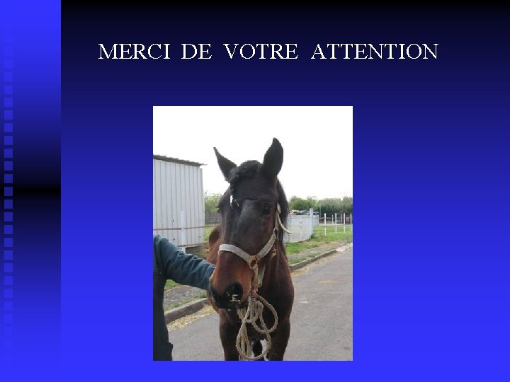 MERCI DE VOTRE ATTENTION 