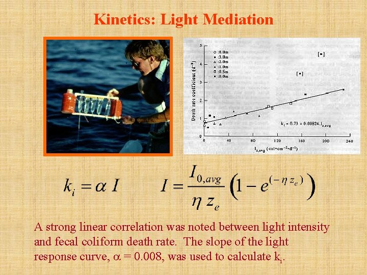 Kinetics: Light Mediation A strong linear correlation was noted between light intensity and fecal
