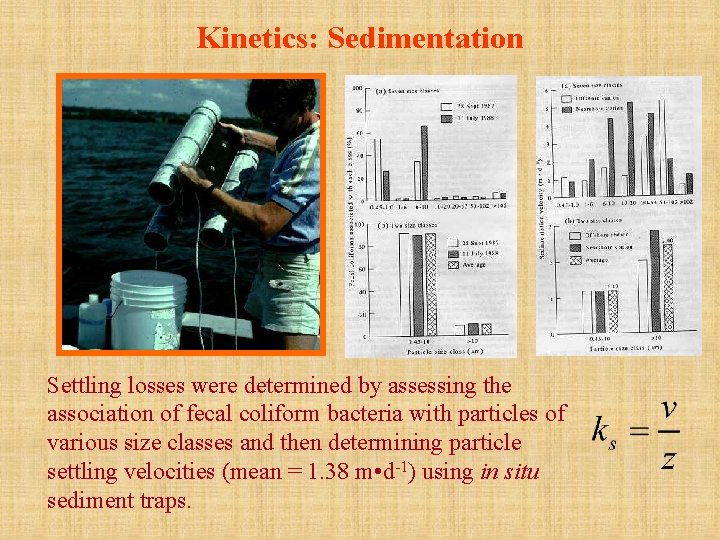 Kinetics: Sedimentation Settling losses were determined by assessing the association of fecal coliform bacteria