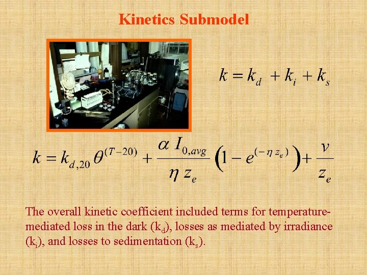 Kinetics Submodel The overall kinetic coefficient included terms for temperaturemediated loss in the dark