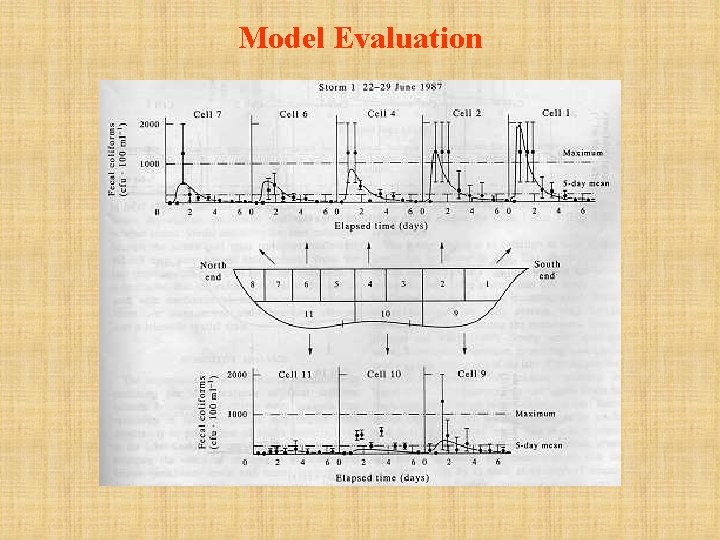 Model Evaluation 