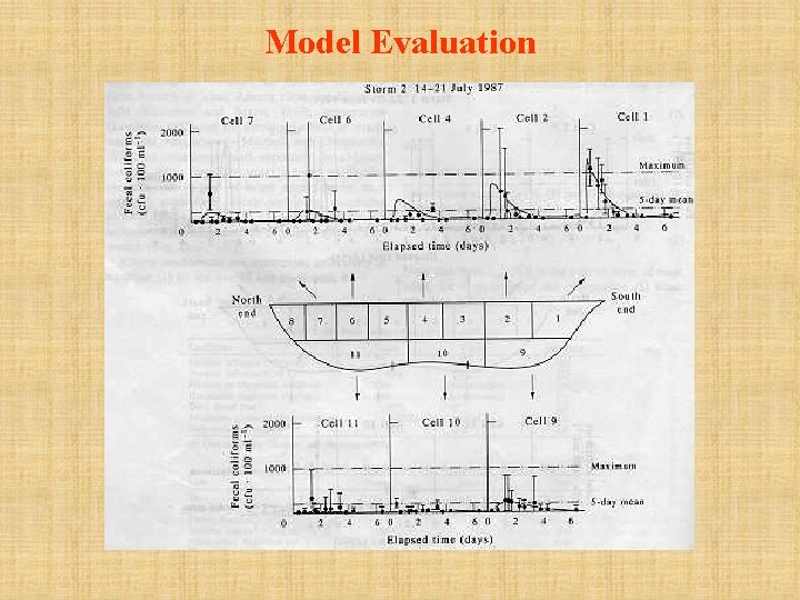 Model Evaluation 