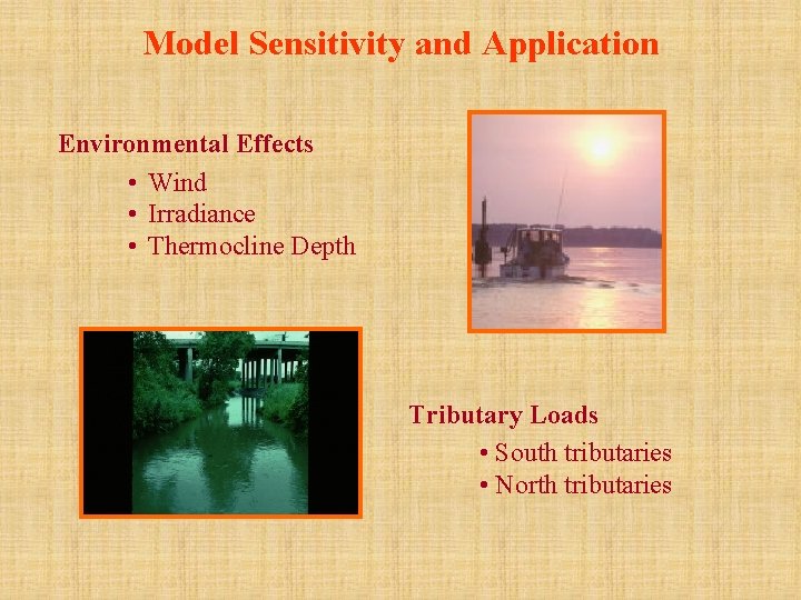 Model Sensitivity and Application Environmental Effects • Wind • Irradiance • Thermocline Depth Tributary
