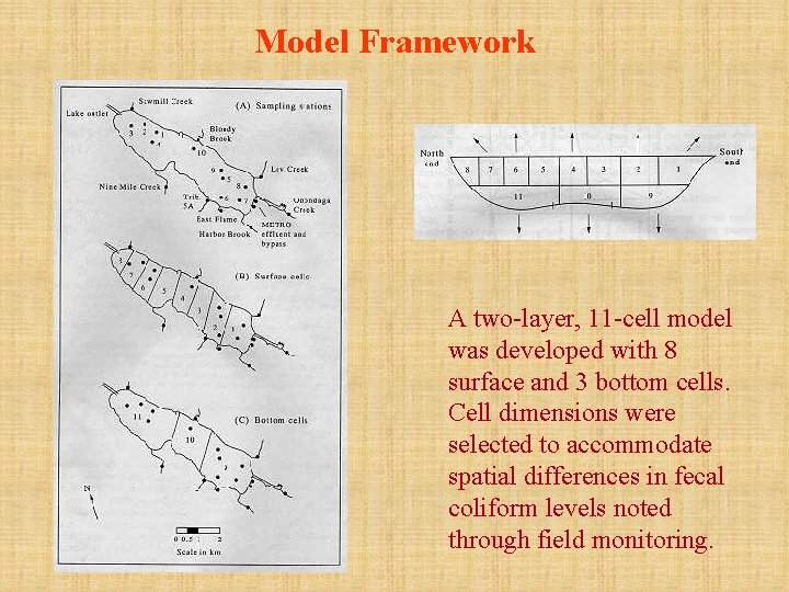 Model Framework A two-layer, 11 -cell model was developed with 8 surface and 3