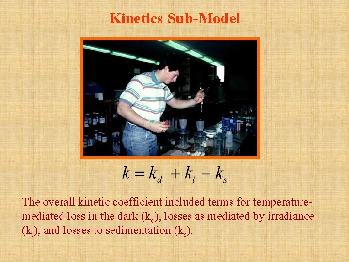 Kinetics Sub-Model The overall kinetic coefficient included terms for temperaturemediated loss in the dark