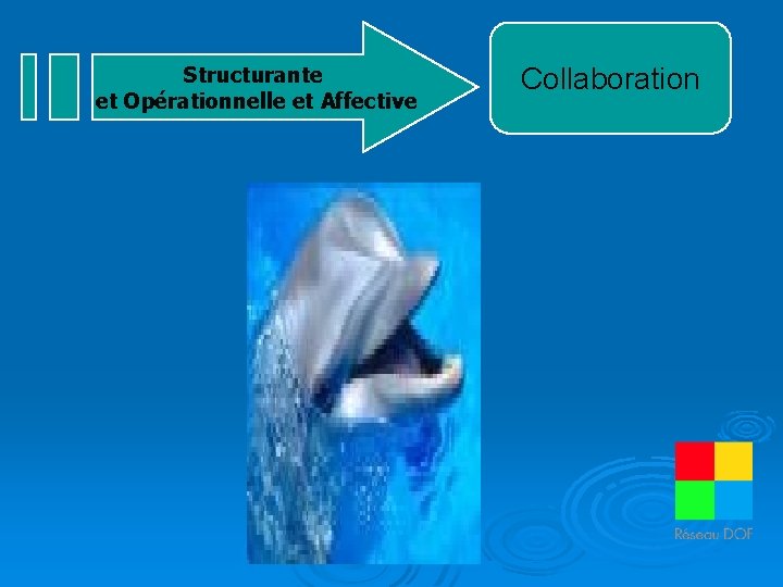 Structurante et Opérationnelle et Affective Collaboration 