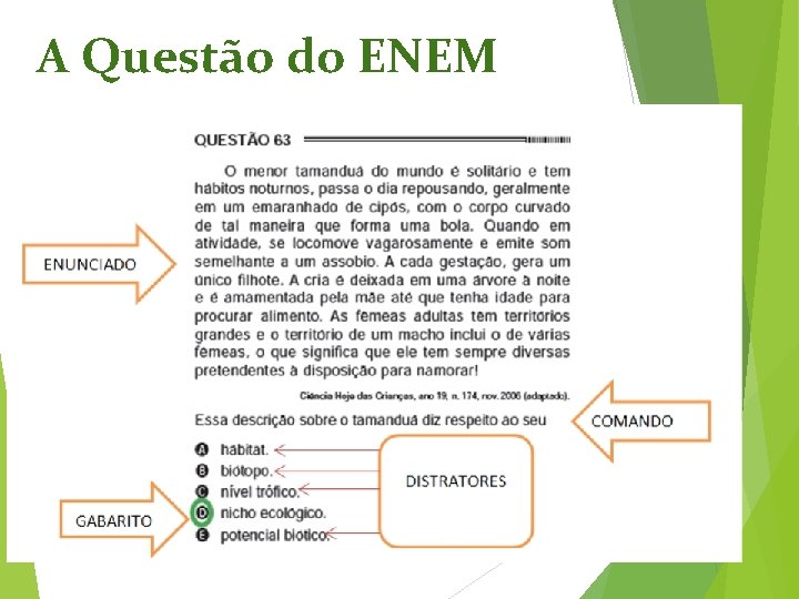 A Questão do ENEM 