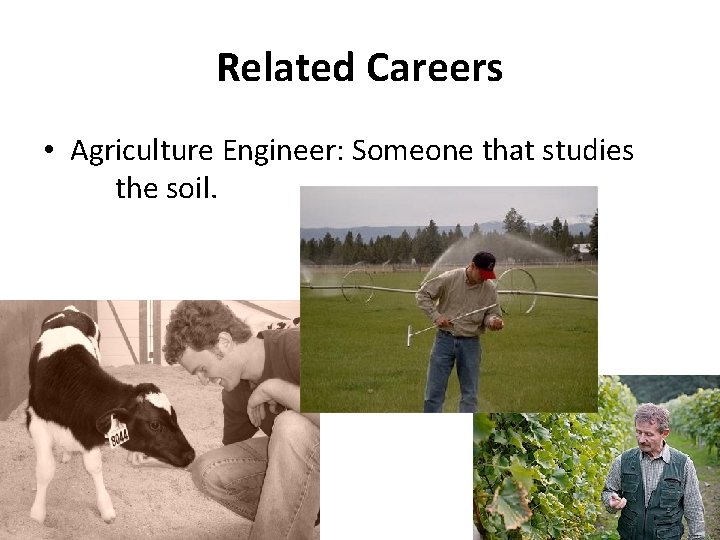 Related Careers • Agriculture Engineer: Someone that studies the soil. 