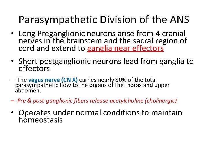 Parasympathetic Division of the ANS • Long Preganglionic neurons arise from 4 cranial nerves