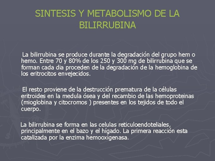 SINTESIS Y METABOLISMO DE LA BILIRRUBINA La bilirrubina se produce durante la degradación del