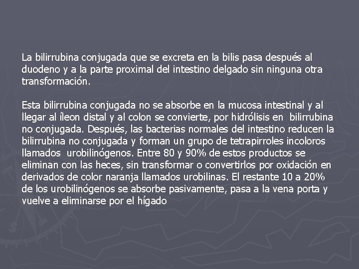 La bilirrubina conjugada que se excreta en la bilis pasa después al duodeno y