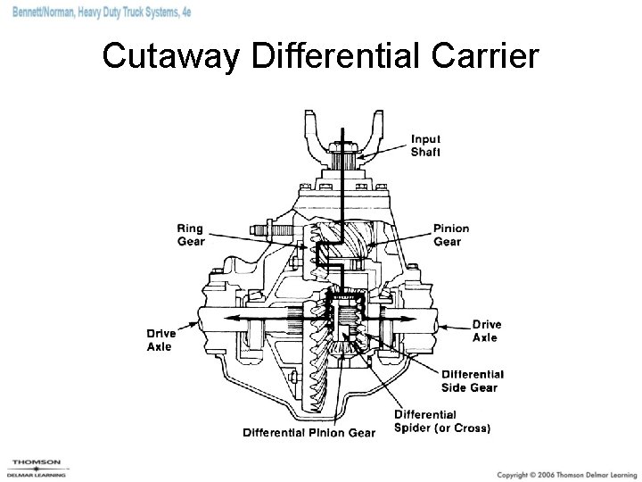 Cutaway Differential Carrier 