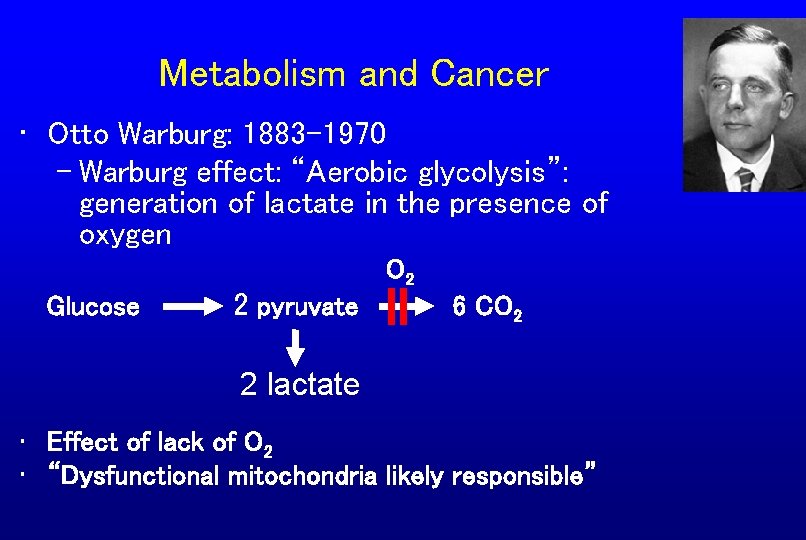 Metabolism and Cancer • Otto Warburg: 1883 -1970 – Warburg effect: “Aerobic glycolysis”: generation