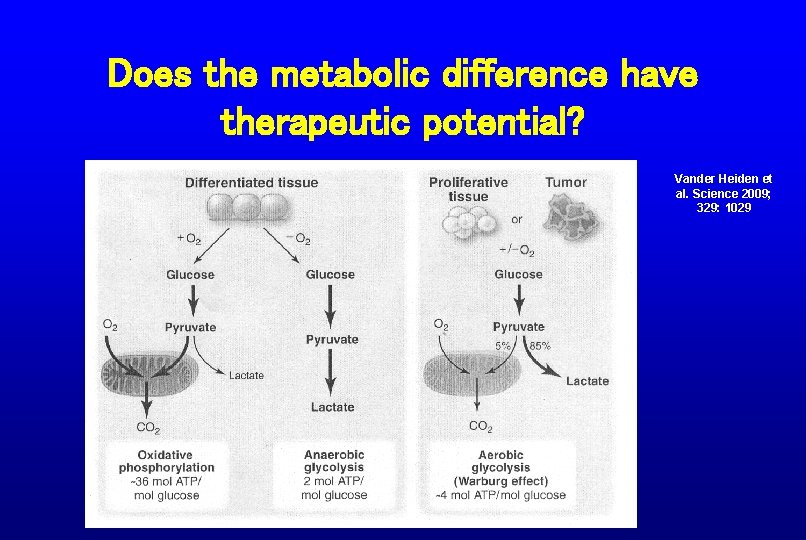 Does the metabolic difference have therapeutic potential? Vander Heiden et al. Science 2009; 329:
