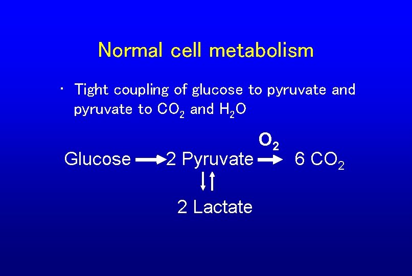 Normal cell metabolism • Tight coupling of glucose to pyruvate and pyruvate to CO