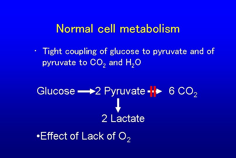 Normal cell metabolism • Tight coupling of glucose to pyruvate and of pyruvate to