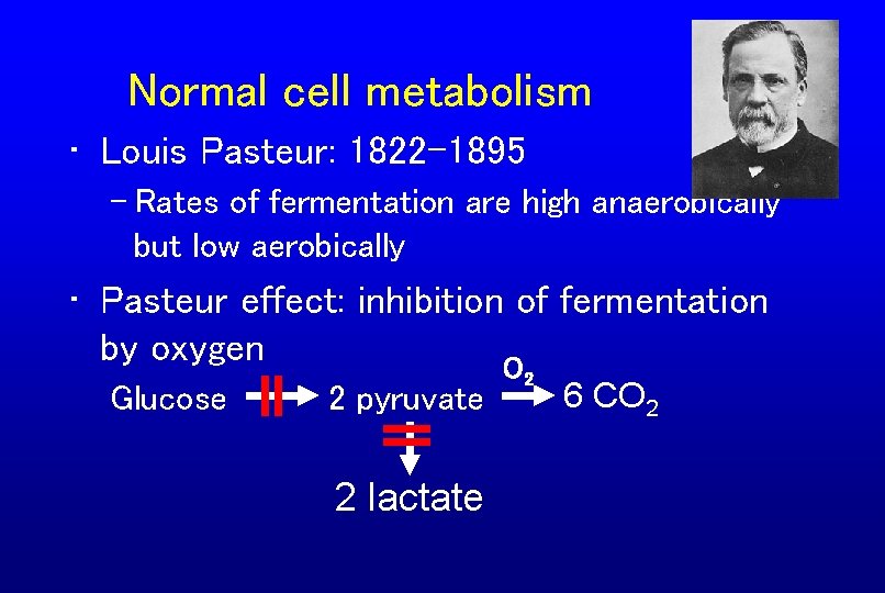 Normal cell metabolism • Louis Pasteur: 1822 -1895 – Rates of fermentation are high