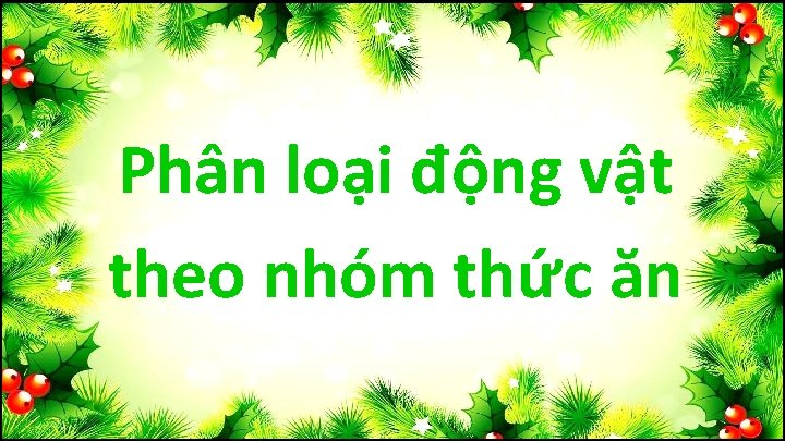 Phân loại động vật theo nhóm thức ăn 