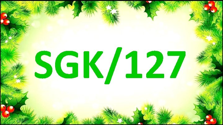SGK/127 