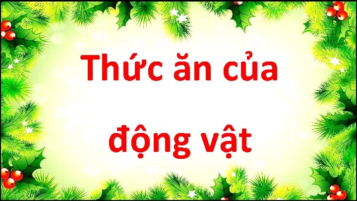 Thức ăn của động vật 