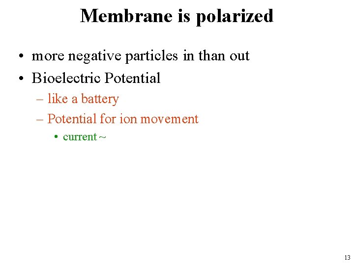 Membrane is polarized • more negative particles in than out • Bioelectric Potential –
