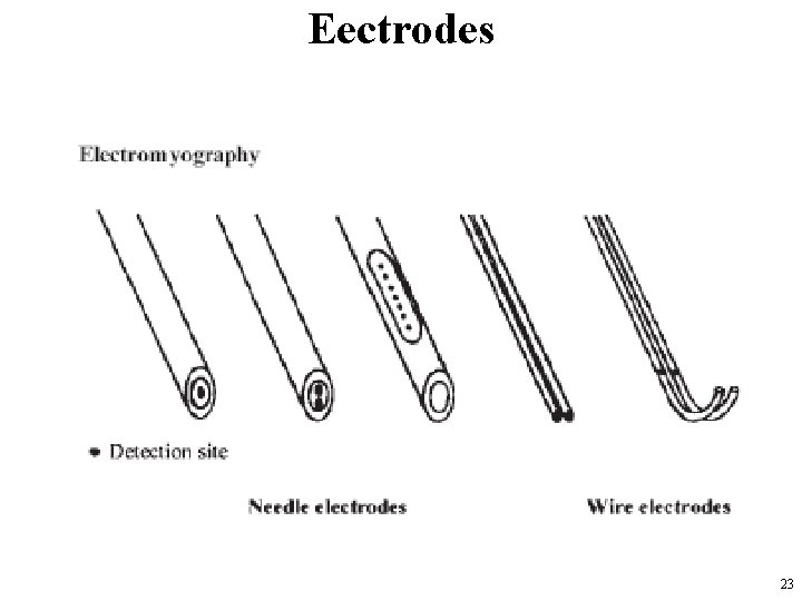 Eectrodes KINDS OF ELECTRODES 23 