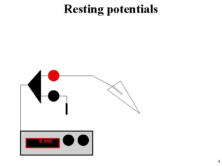 Resting potentials 0 m. V 4 