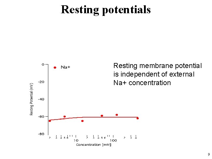 Resting potentials Resting membrane potential is independent of external Na+ concentration 9 